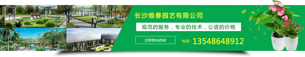 Gֲ⡢U@־G޼@־Gʩ